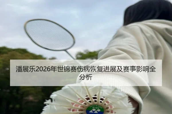 潘展乐2026年世锦赛伤病恢复进展及赛事影响全分析