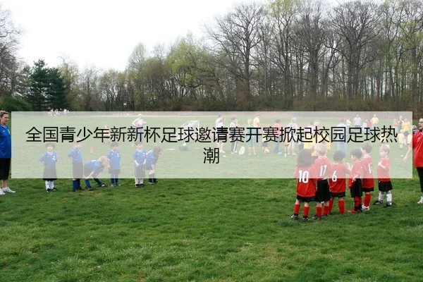 全国青少年新新杯足球邀请赛开赛掀起校园足球热潮