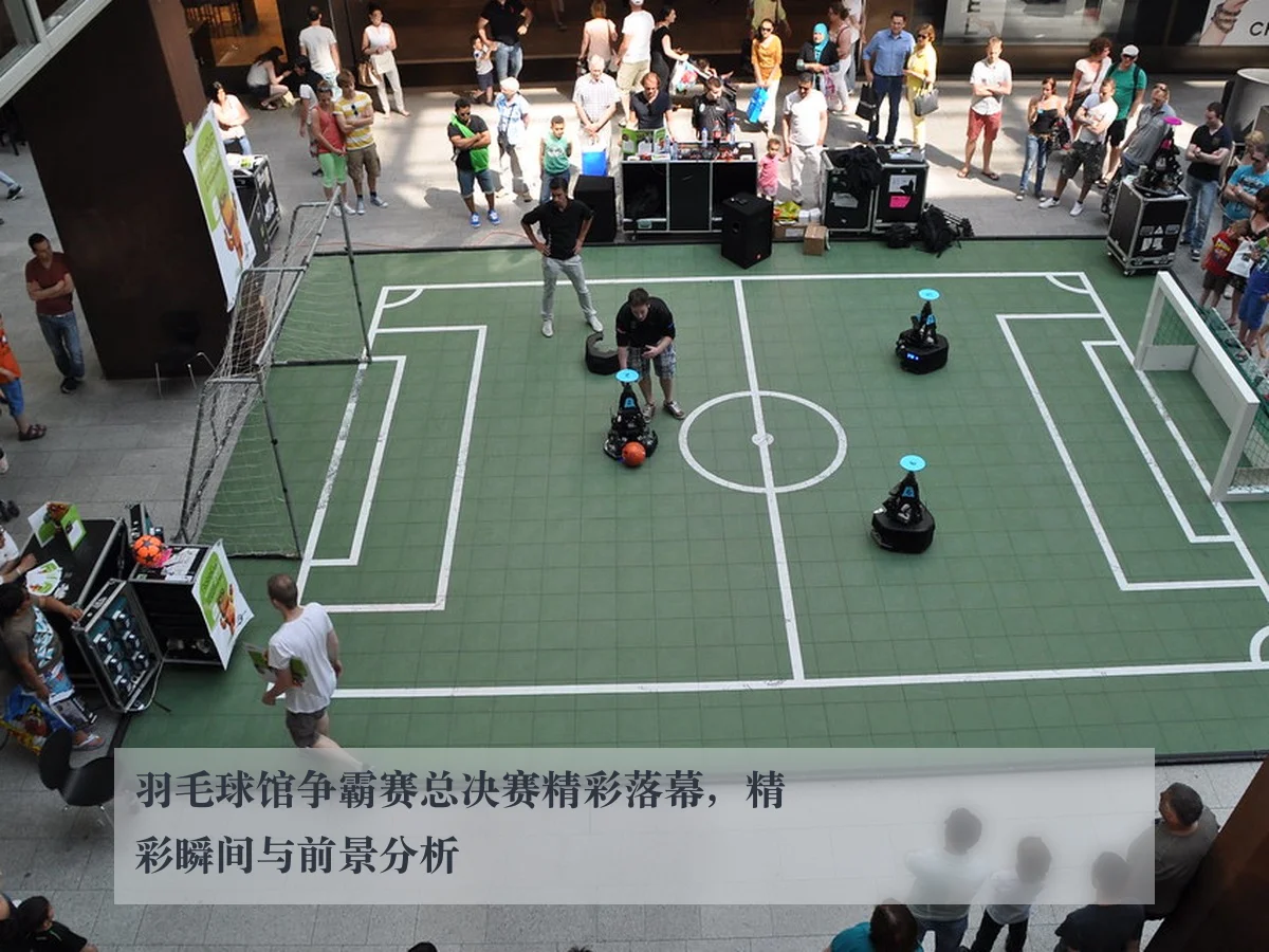 羽毛球馆争霸赛总决赛精彩落幕，精彩瞬间与前景分析